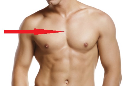 chest